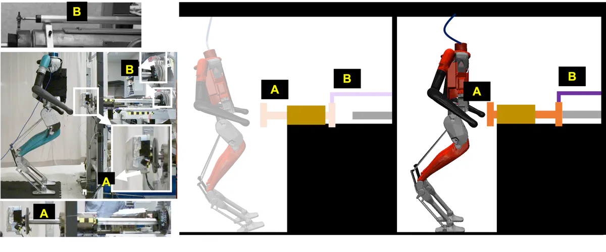 Safety Testing of Legged Robots