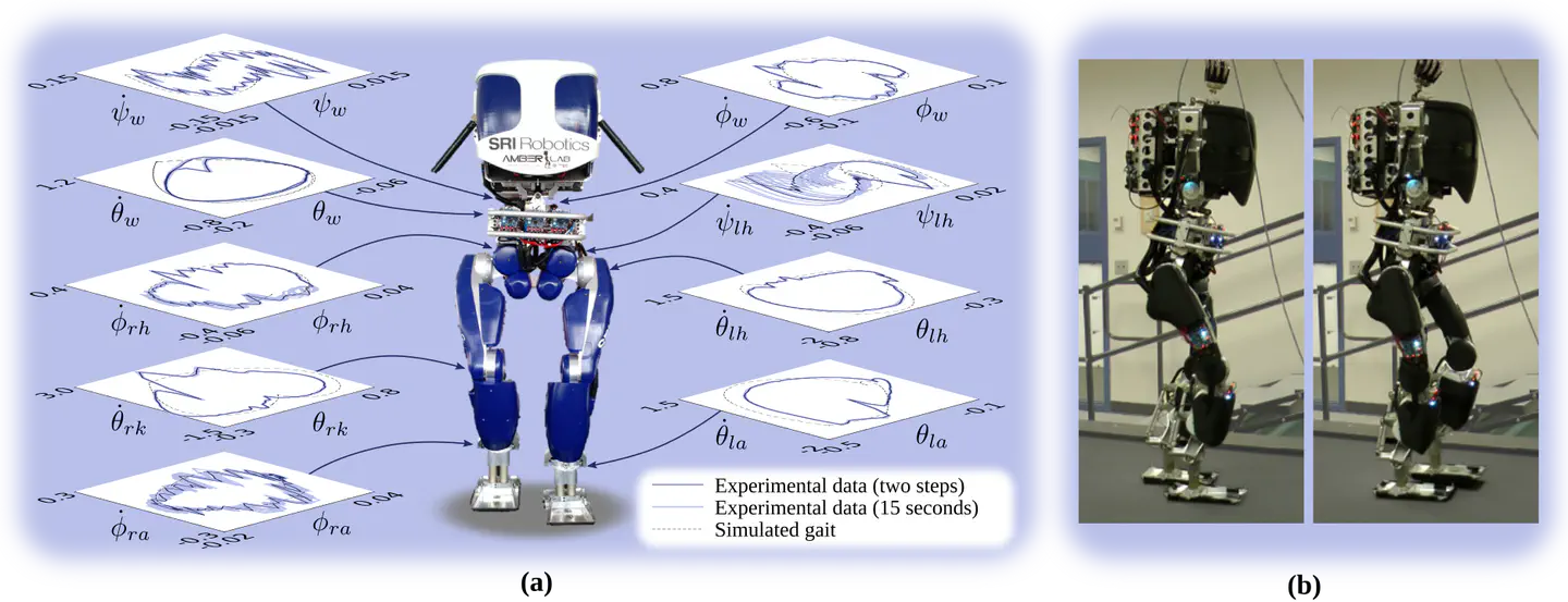 3D dynamic walking with underactuated humanoid robots: A direct collocation framework for optimizing hybrid zero dynamics