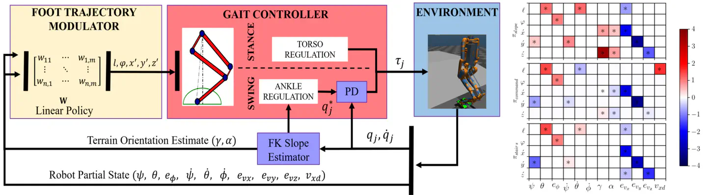 Linear policies are sufficient to realize robust bipedal walking on challenging terrains