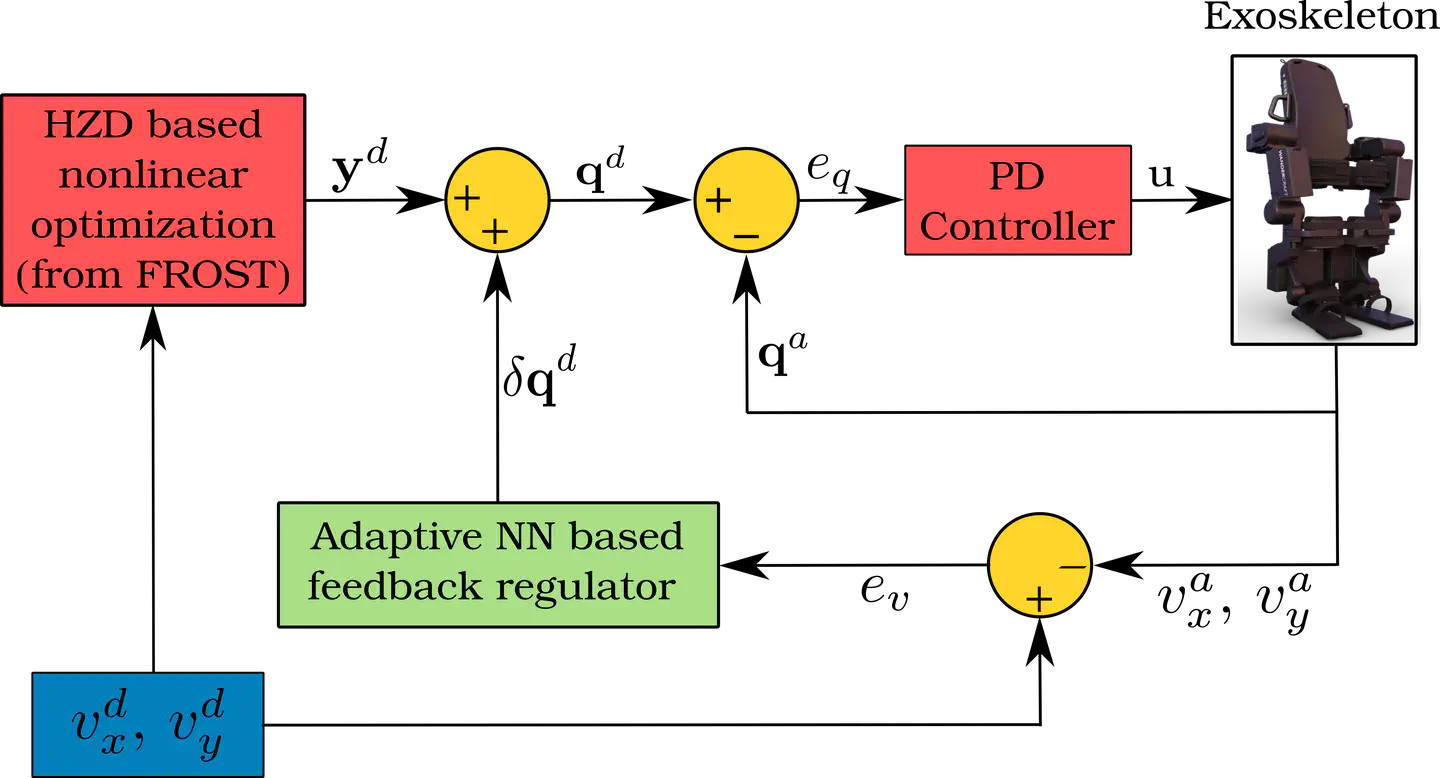 Adaptive feedback regulator for powered lower-limb exoskeleton under model uncertainty